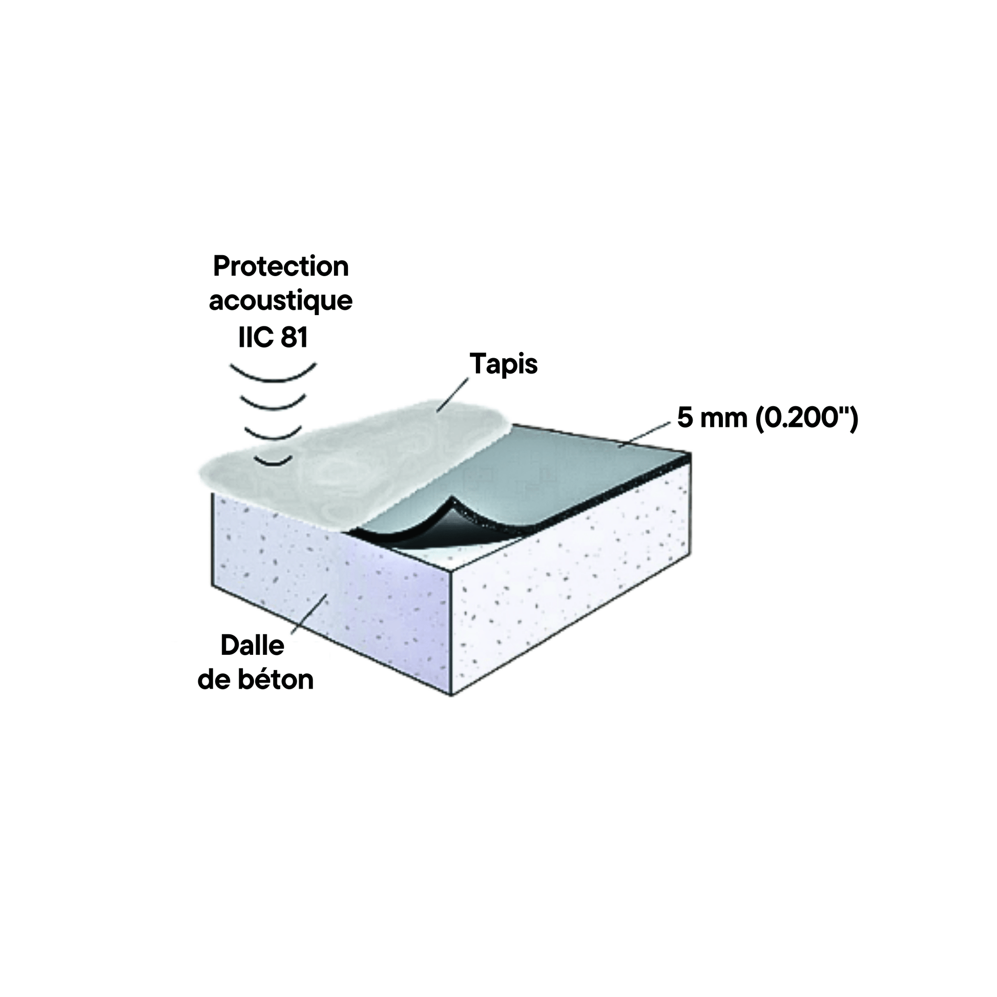Diagram showing a cutaway view of a concrete slab with a Protector™ 5 mm carpet from Dura Undercushions on top, an acoustic protection IIC 81 layer beneath the carpet, and a carpet underlay to enhance impact sound reduction.